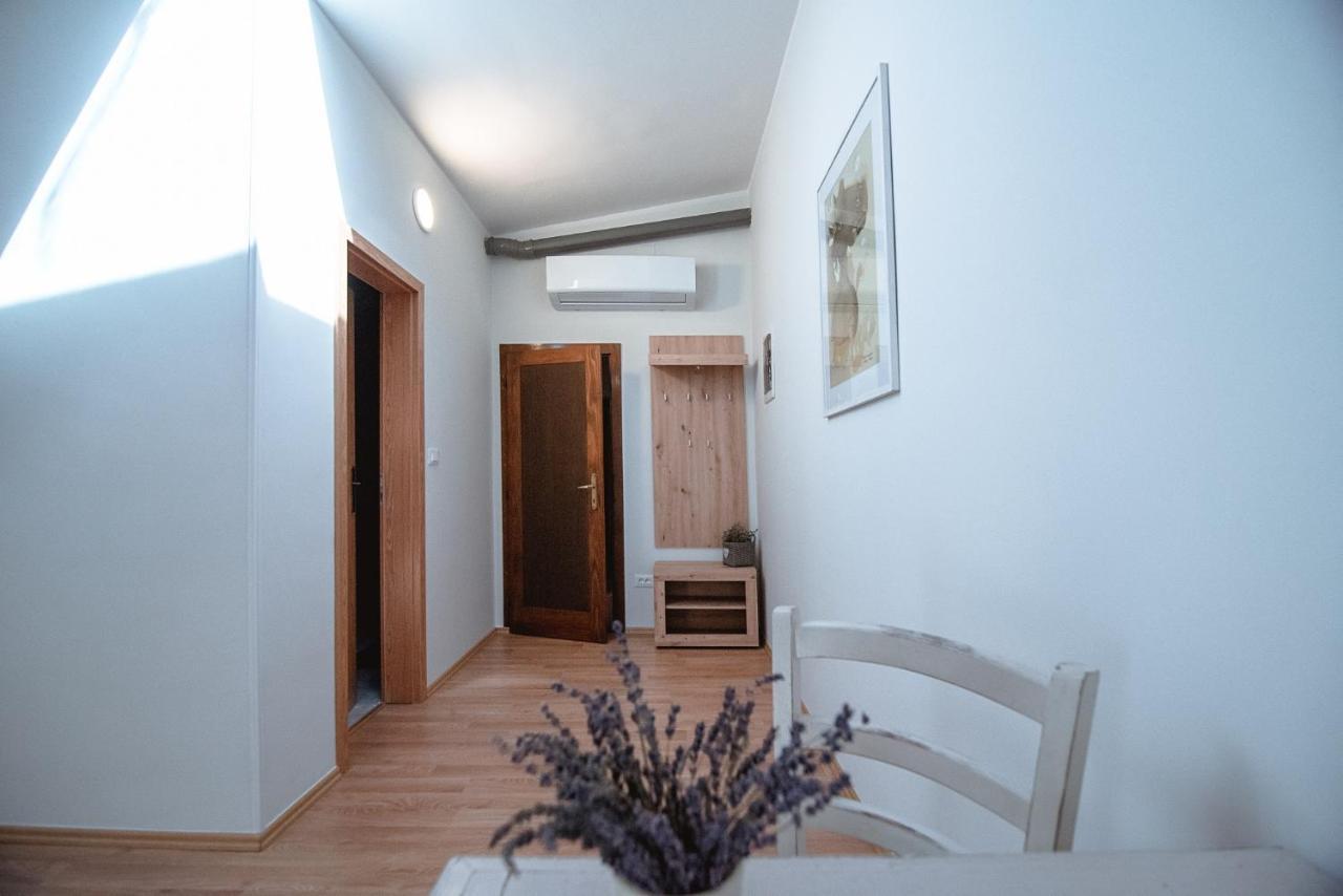Apartment Ana - Karst Cycling Paradise Dutovlje Exteriör bild
